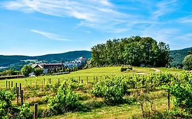 Spirit&SPA Birkenhof am Elfenhain